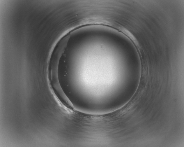 X0000073761144200608031527