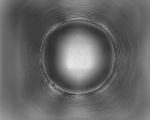 X0000073761145200608031527