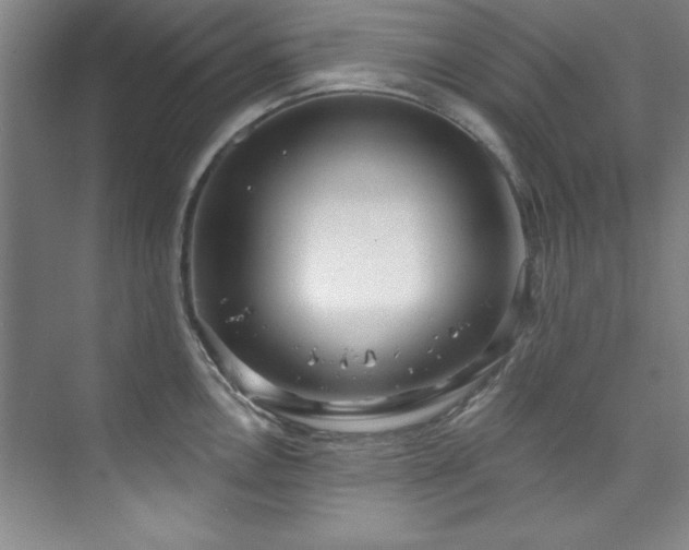 X0000073761146200608031527