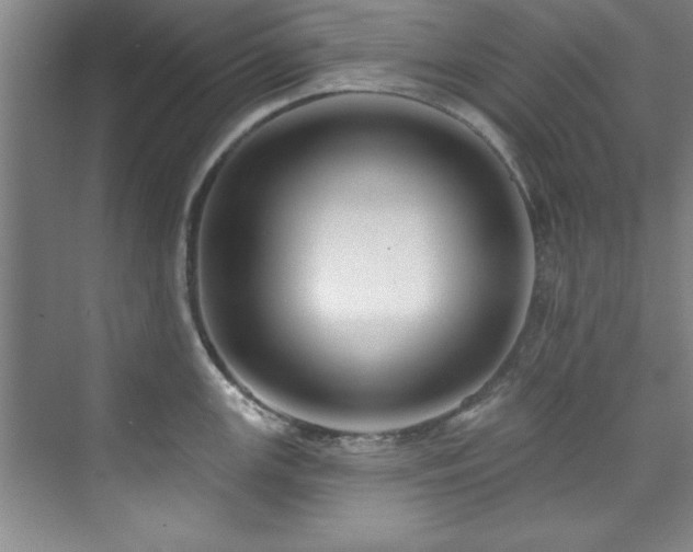 X0000073761147200608031527