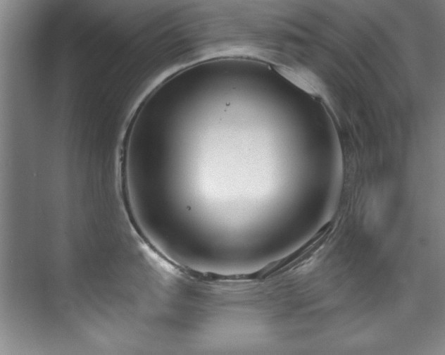 X0000073761151200608031527