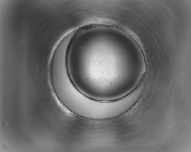 X0000073761152200608031527