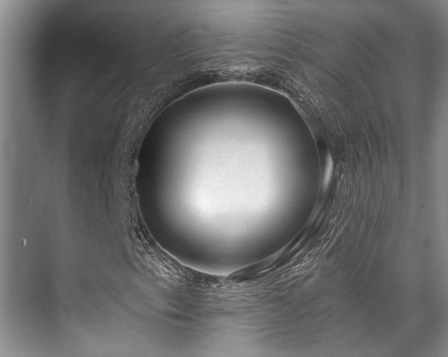 X0000073761153200608031527