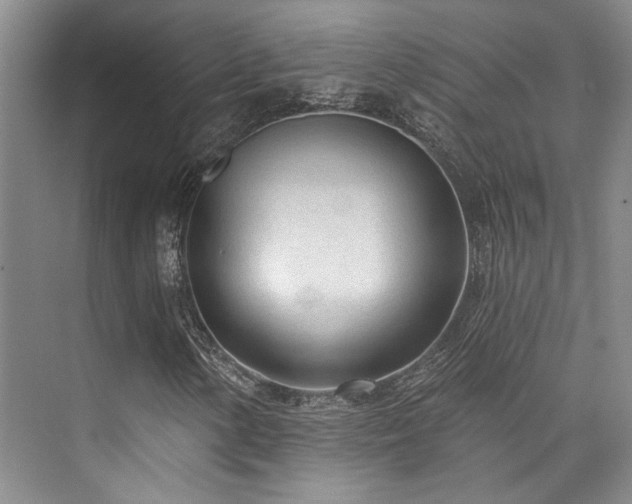 X0000073761154200608031527