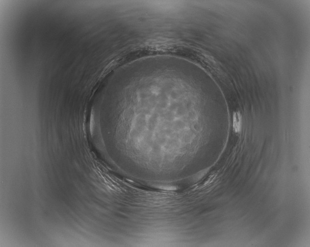 X0000073761155200608031527