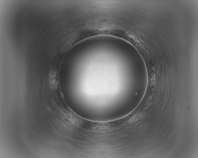 X0000073761156200608031527