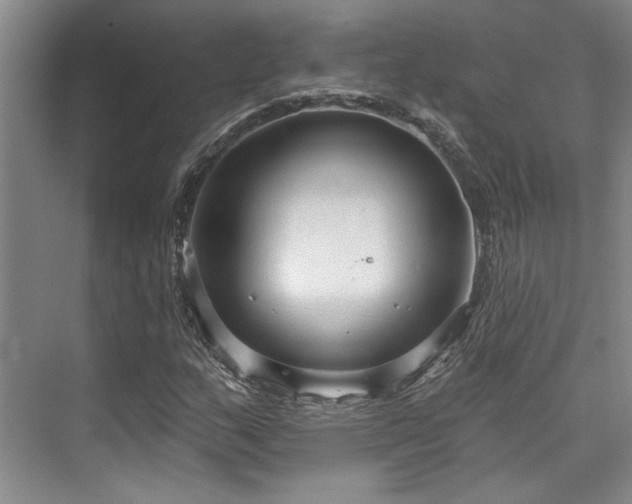 X0000073761159200608031527