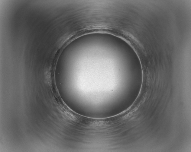 X0000073761162200608031526