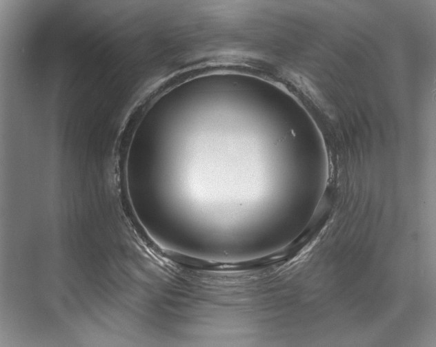 X0000073761164200608031526