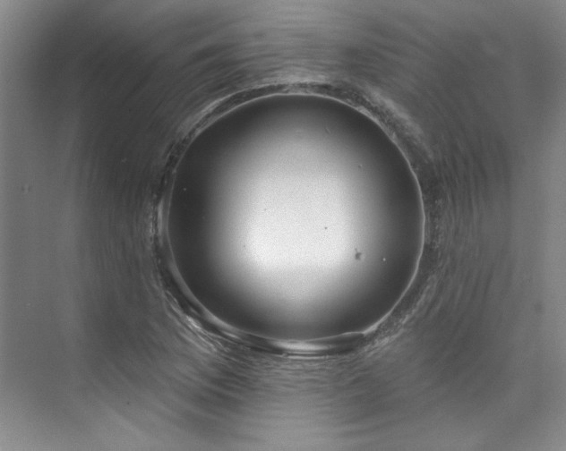X0000073761169200608031526