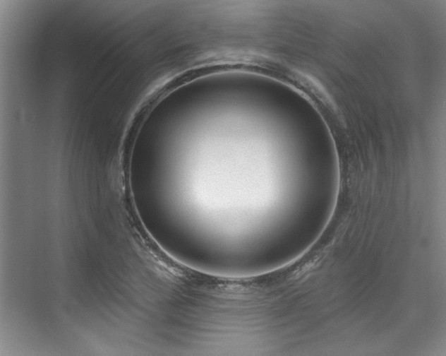 X0000073761172200608031526