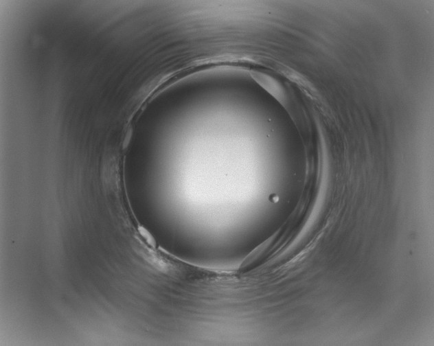 X0000073761177200608031526