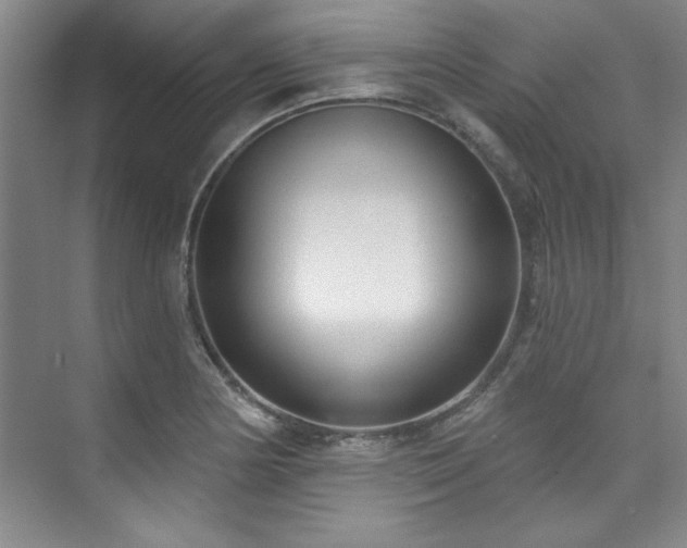 X0000073761178200608031526