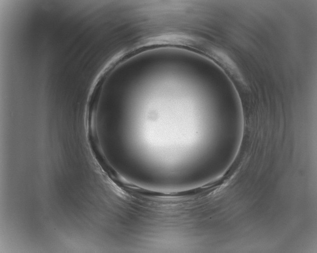 X0000073761180200608031526