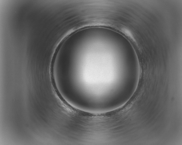 X0000073761181200608031526