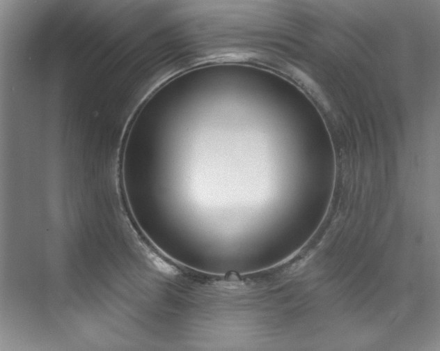 X0000073761186200608031526