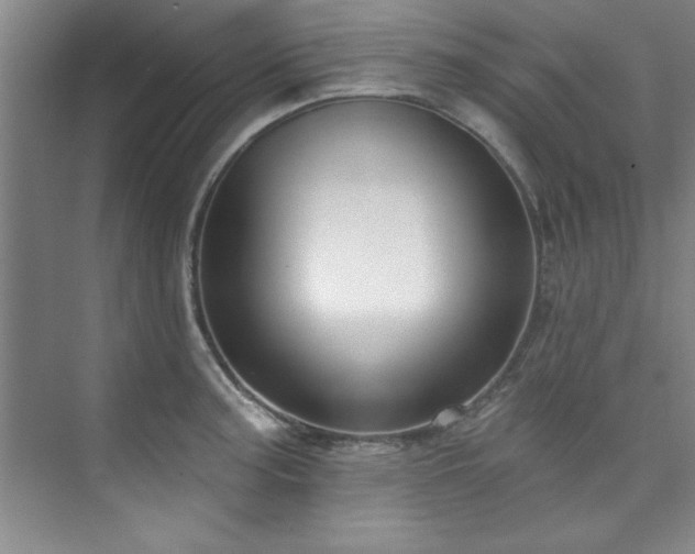 X0000073761187200608031526
