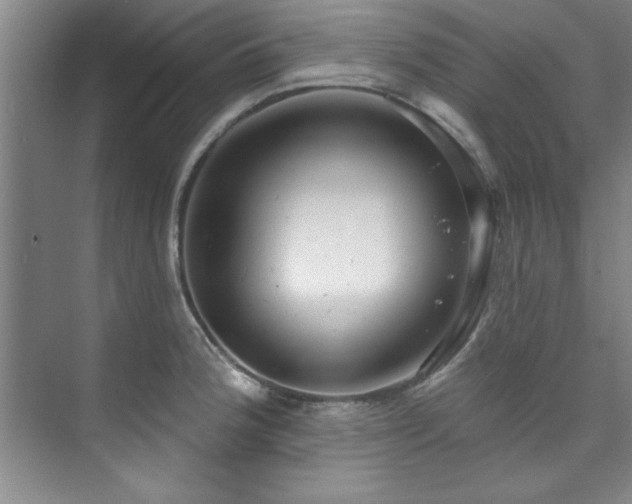 X0000073761188200608031526