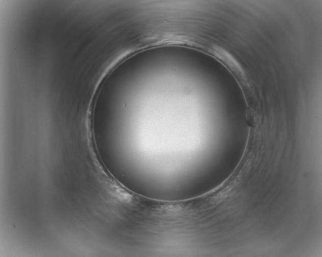 X0000073761190200608031526