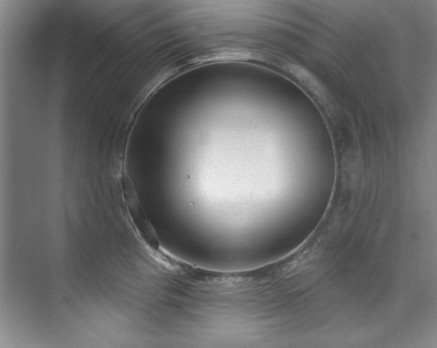 X0000073761193200608031526