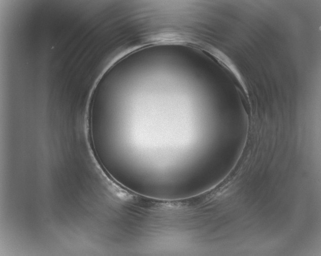 X0000073761195200608031526