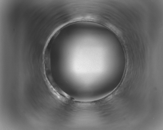X0000073761200200608031526