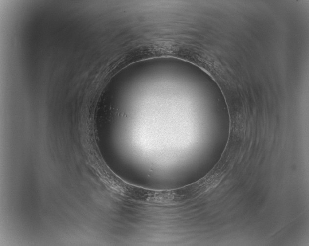 X0000073761201200608031525