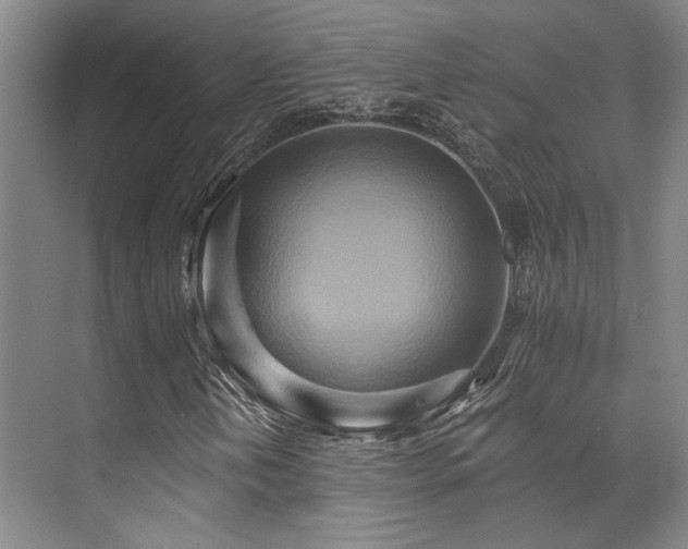 X0000073761202200608031525