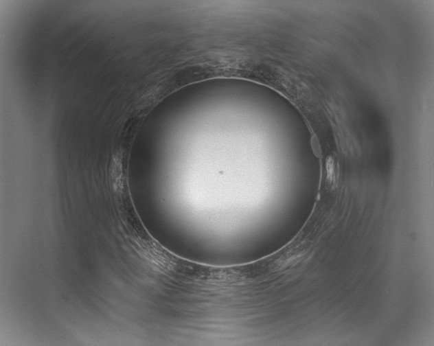 X0000073761203200608031525