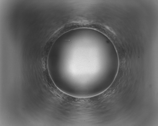 X0000073761205200608031525