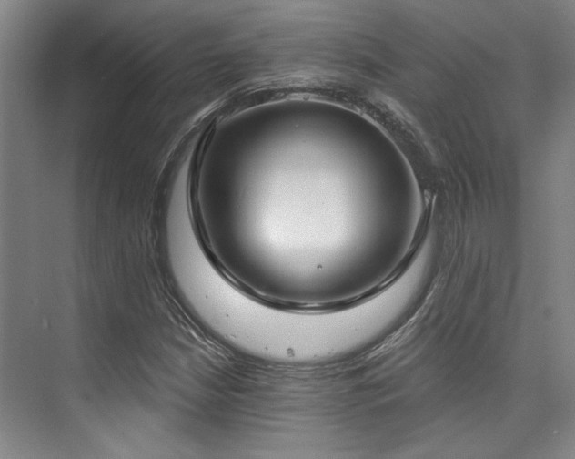 X0000073761210200608031525