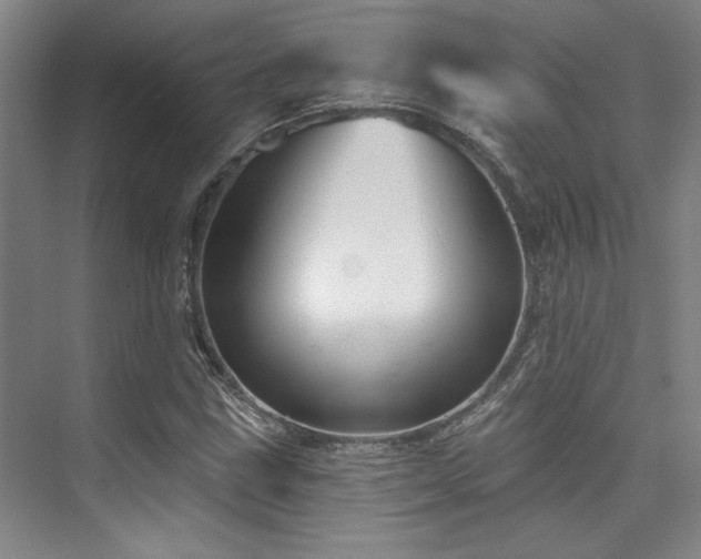 X0000073761211200608031525