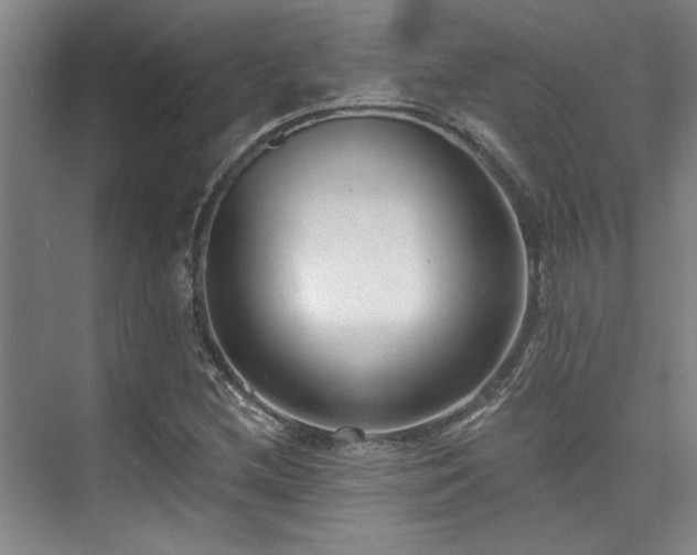 X0000073761212200608031525