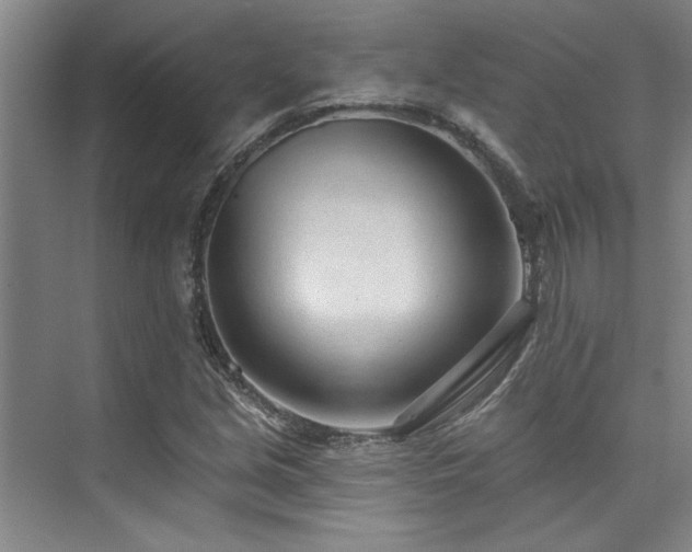 X0000073761213200608031525