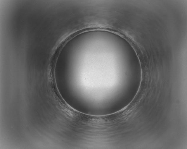 X0000073761215200608031525