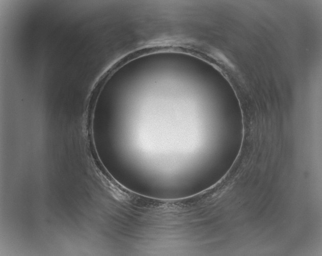 X0000073761216200608031525