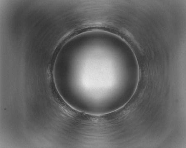 X0000073761218200608031525