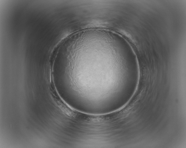 X0000073761219200608031525