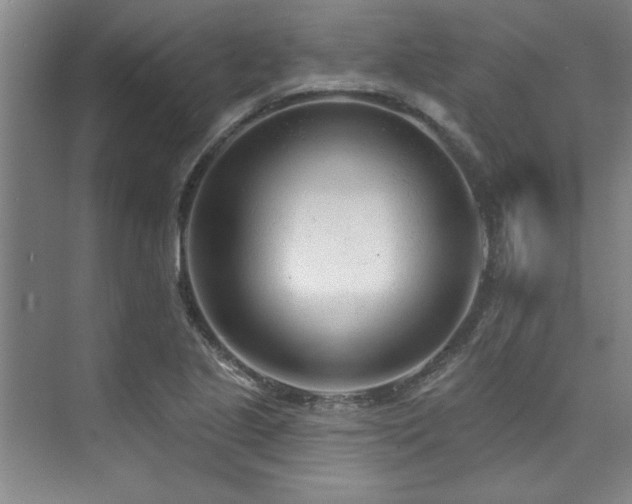 X0000073761221200608031525