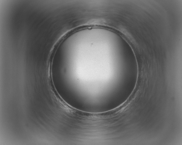 X0000073761224200608031525