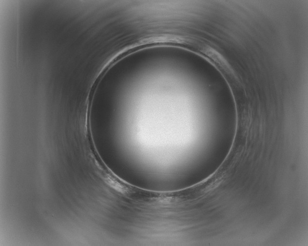 X0000073761228200608031525
