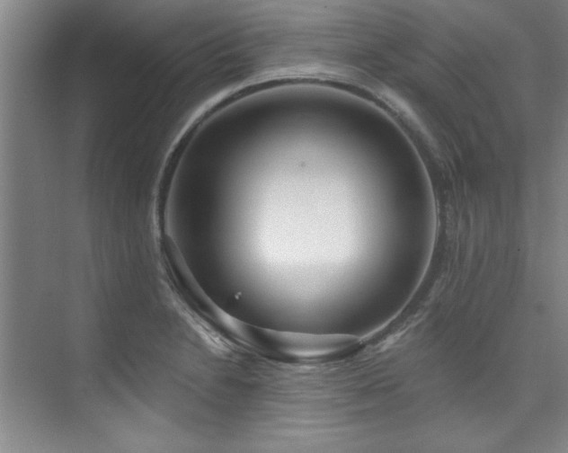 X0000073761230200608031525