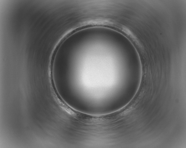X0000073761232200608031526