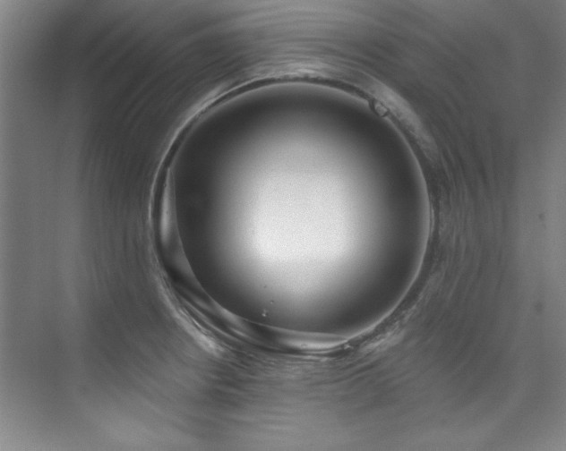 X0000073761234200608031526