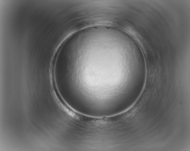 X0000073761235200608031526