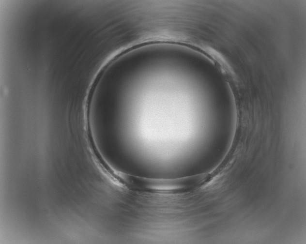 X0000073761238200608031526
