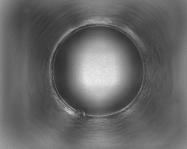 X0000073761240200608031526