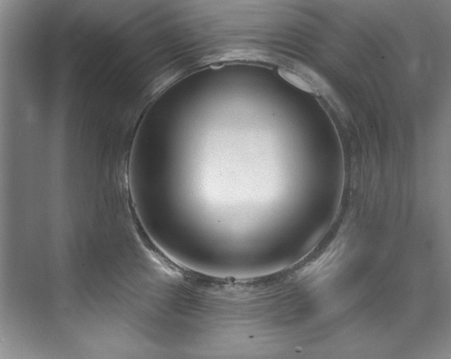 X0000073761241200608031526