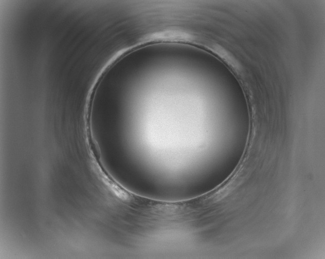 X0000073761248200608031526