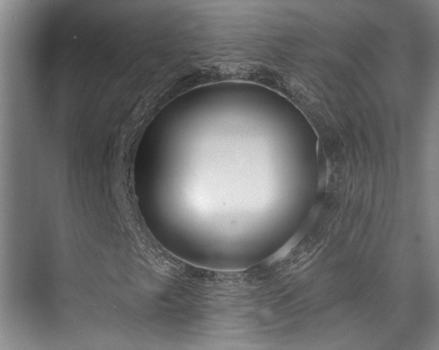 X0000073761249200608031525